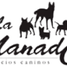 logo-la-manada-alpha_95