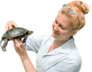 Herpetología online: Especialista en Anfibios y Reptiles