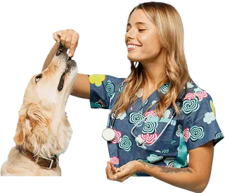 Nutrición Animal: Canina, Felina y Equina online