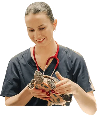 Técnico en Animales Exóticos online