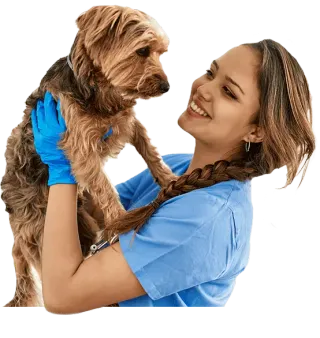 Asistente y Auxiliar Técnico Veterinario online