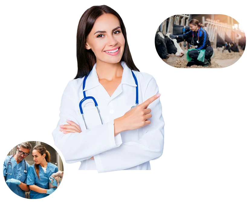 Recurso formulario footer